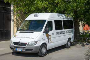 pulmino